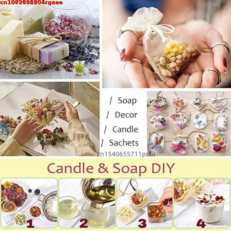 Bruja de calidad para principi - Candle Making For Beginners reseña y precio